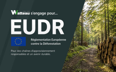 EUDR bois 2026 : la traçabilité devient un atout